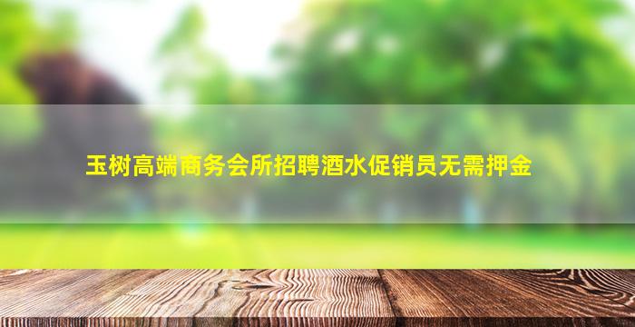 玉树高端商务会所招聘酒水促销员无需押金